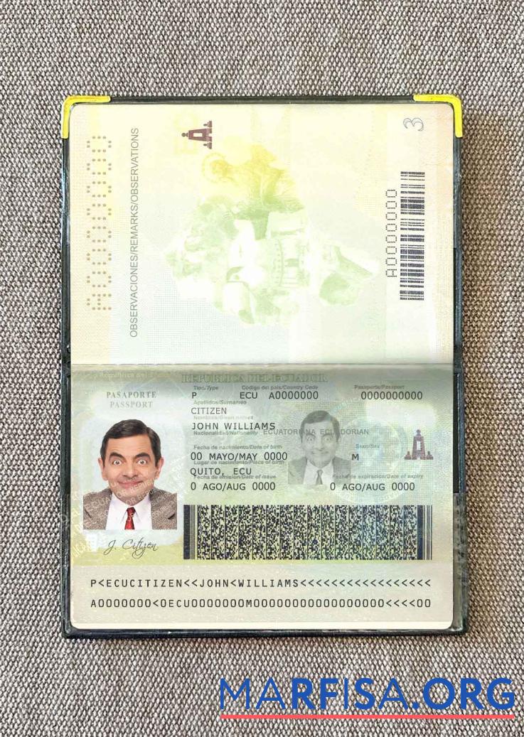 Printable Ecuador passport photo look real example